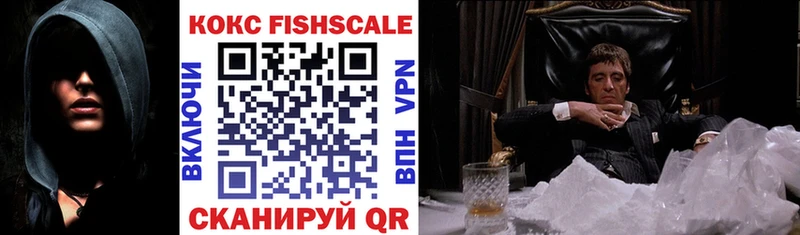 COCAIN Fish Scale  купить   Заводоуковск 
