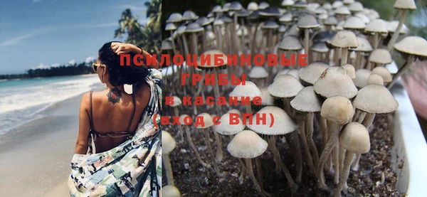 сатива Балахна